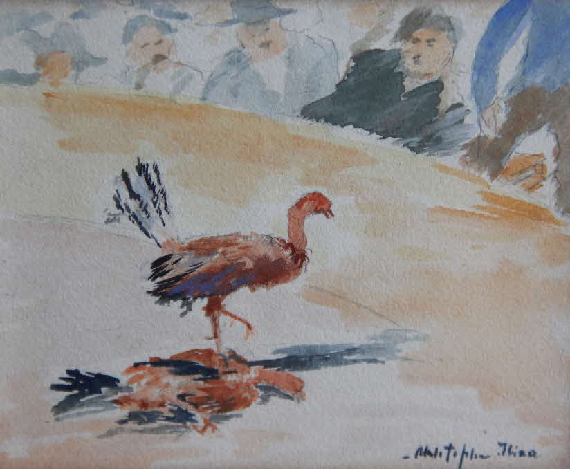 Hahnenkampf auf Ibiza 1932