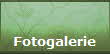 Fotogalerie